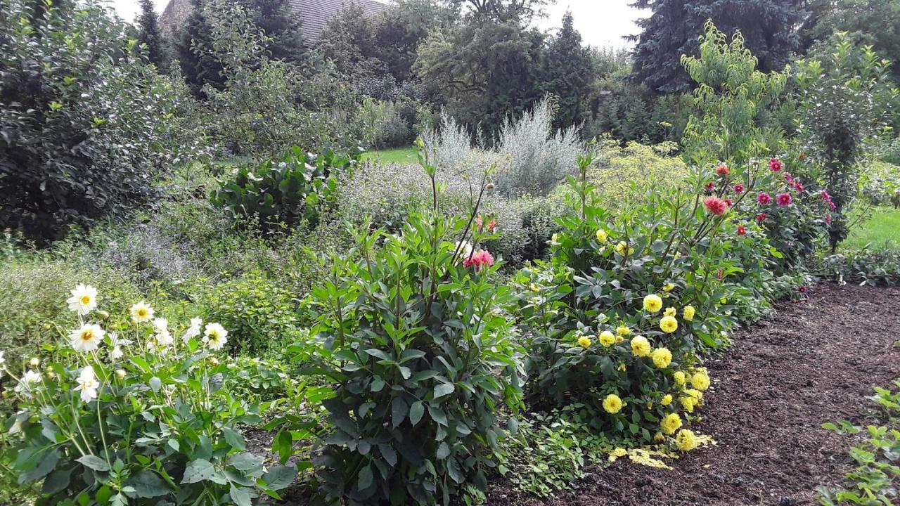Gaestezimmer Sommer Locktow Bagian luar foto