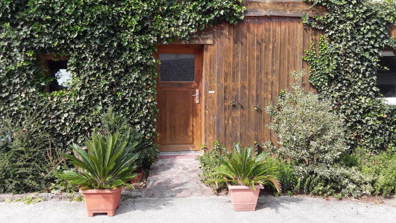 Gaestezimmer Sommer Locktow Bagian luar foto